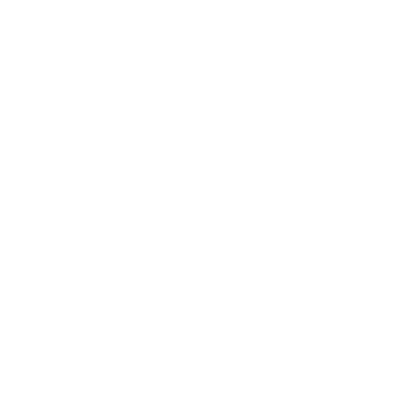 logo-big-white